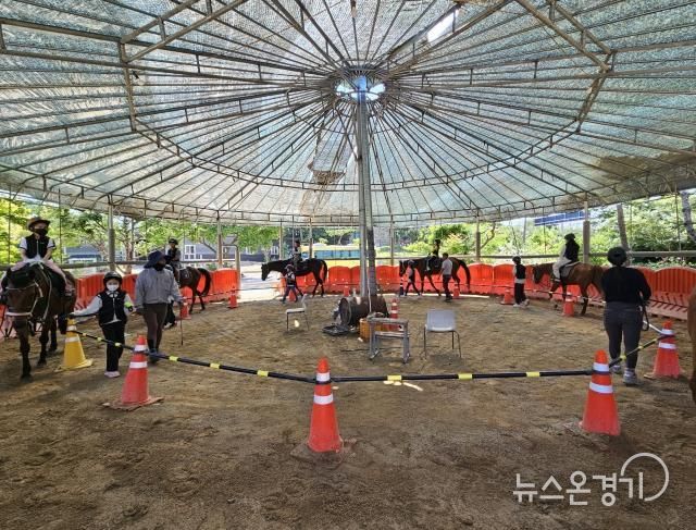 학생 승마체험 지원