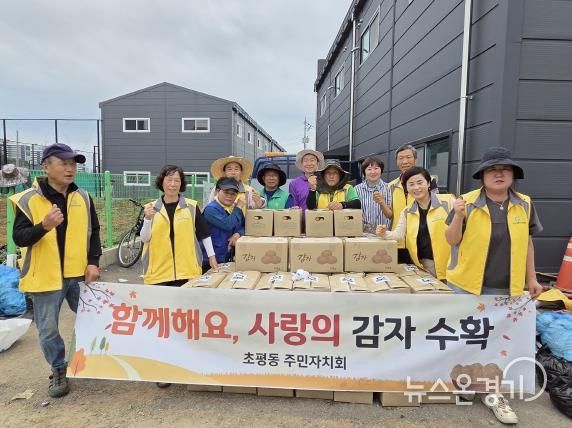 오산시 초평동, '사랑의 감자 수확'으로 이웃사랑 실천