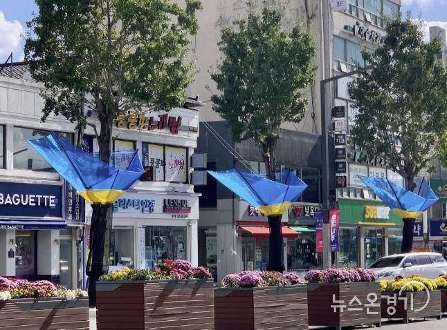 여주시, 은행나무 열매 악취 STOP!