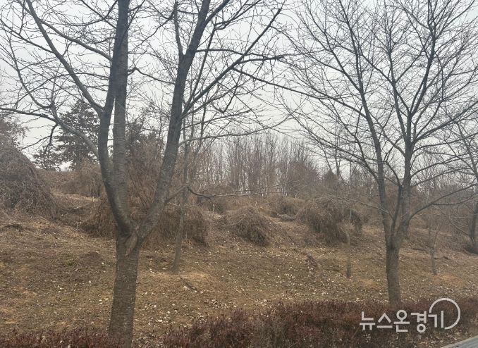 이천시, 2026년 도시숲리모델링사업 선정