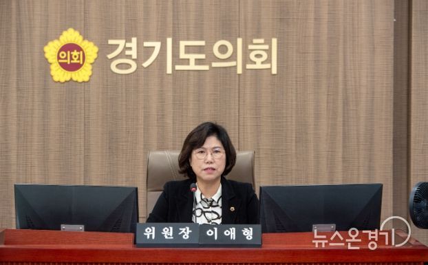 경기도의회 이애형 의원