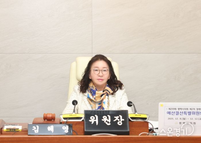 김혜영 예산결산특별위원장