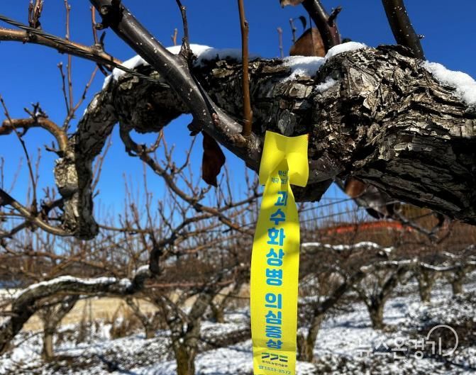 과수화상병 확산 방지